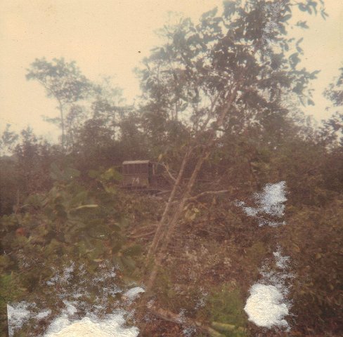 Rome Plows clearing dense Jungle